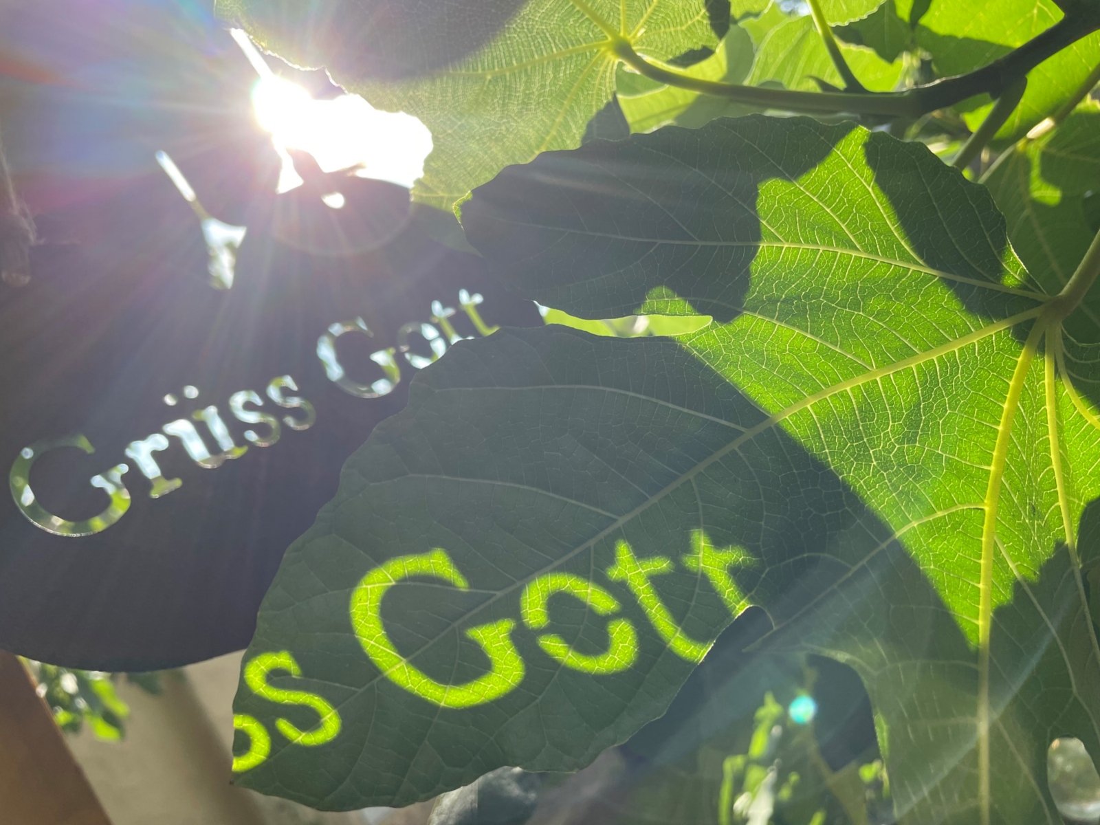 Grüß Gott (c) Vera lender